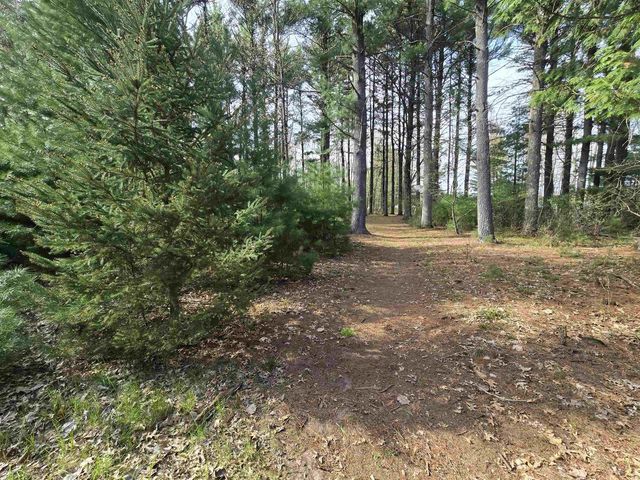 W10962 S CURTIS LAKE LANE, Coloma, WI 54930