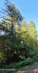 Lot 61 Buttonwood Drive, Sevierville, TN 37876