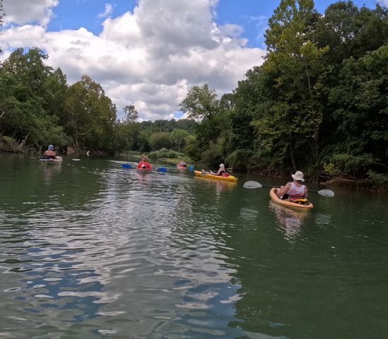 4439 Old Hohenwald Rd, Linden, TN 37096