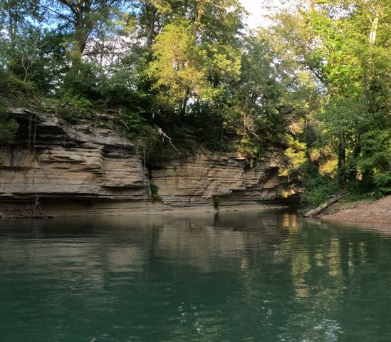 4439 Old Hohenwald Rd, Linden, TN 37096