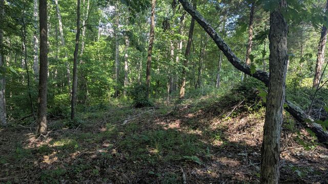 4439 Old Hohenwald Rd, Linden, TN 37096