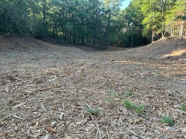 160 Wailupe CIR, Bastrop, TX 78602