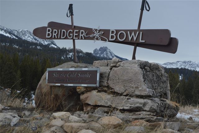 215 Wedeln Drive, Bozeman, MT 59715