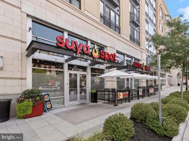 9218 OWINGS CHOICE CT, Owings Mills, MD 21117