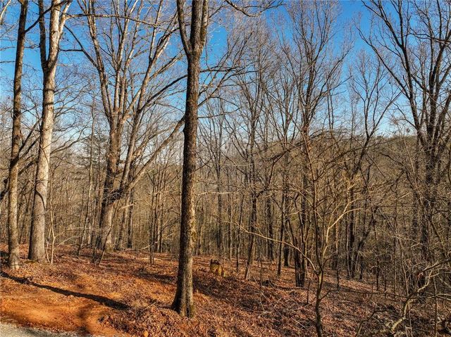 Lot 11 Mount Mincie Road, Murrayville, GA 30564