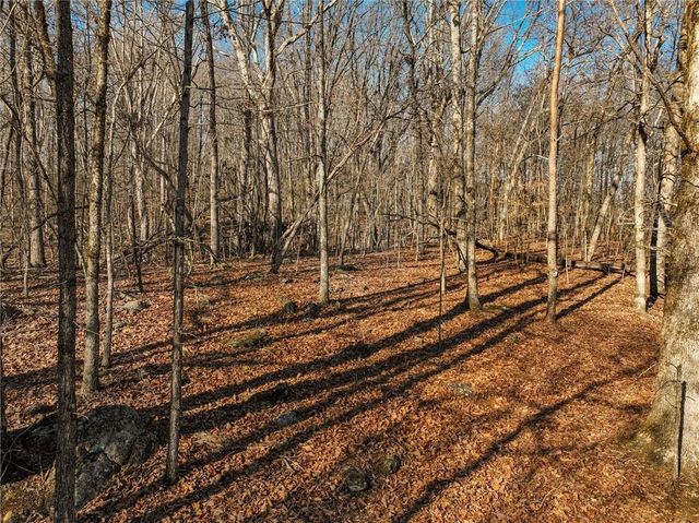 Lot 11 Mount Mincie Road, Murrayville, GA 30564