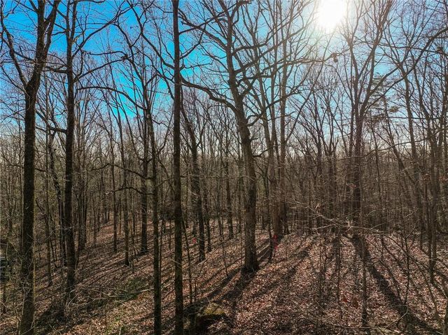 Lot 11 Mount Mincie Road, Murrayville, GA 30564