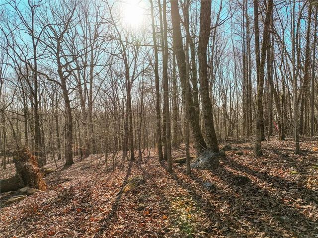 Lot 11 Mount Mincie Road, Murrayville, GA 30564