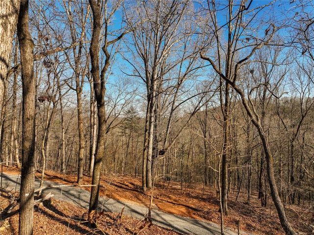 Lot 11 Mount Mincie Road, Murrayville, GA 30564