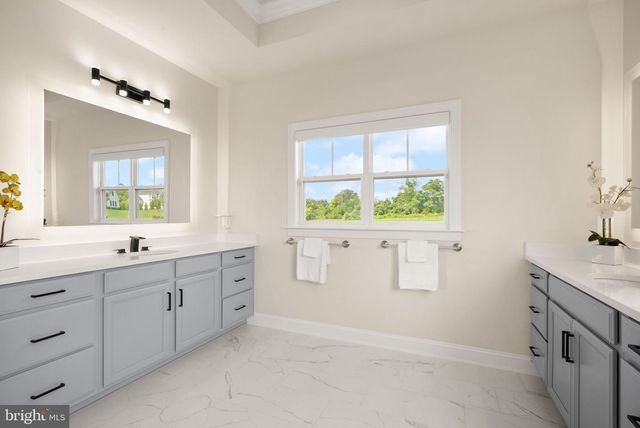 17534 WANDERING RUDY LN, Leesburg, VA 20175