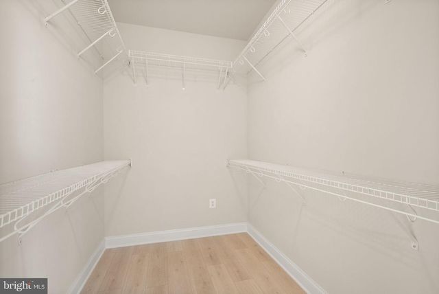 17534 WANDERING RUDY LN, Leesburg, VA 20175