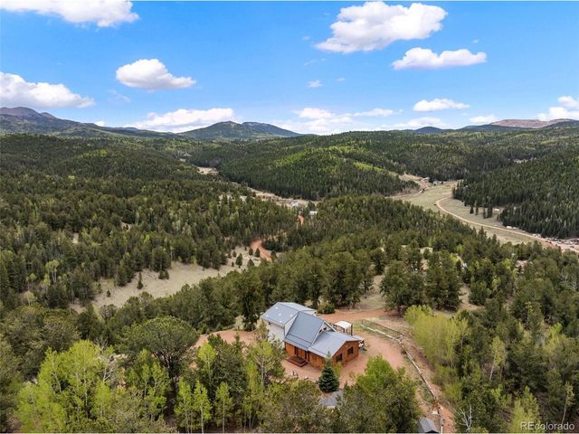 1052 Crown Point Cir, Cripple Creek, CO 80813