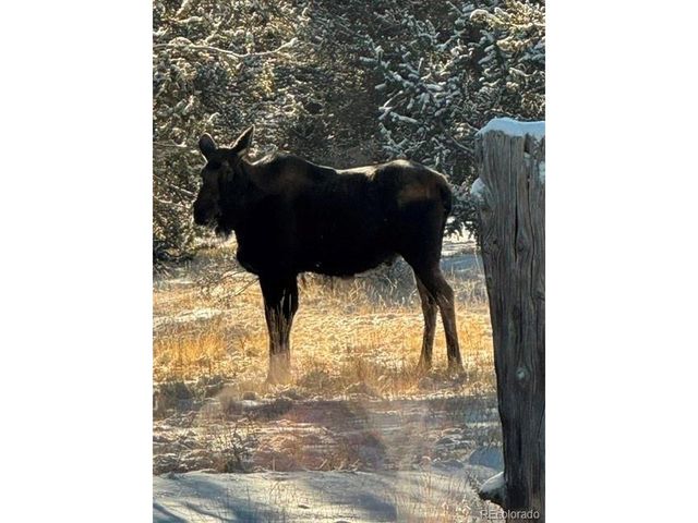 1052 Crown Point Cir, Cripple Creek, CO 80813