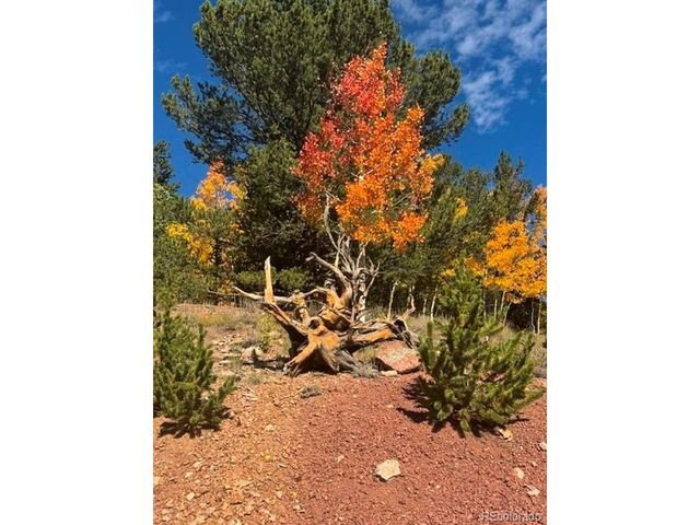 1052 Crown Point Cir, Cripple Creek, CO 80813