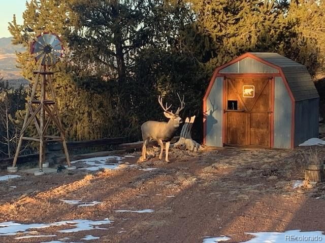 1052 Crown Point Cir, Cripple Creek, CO 80813