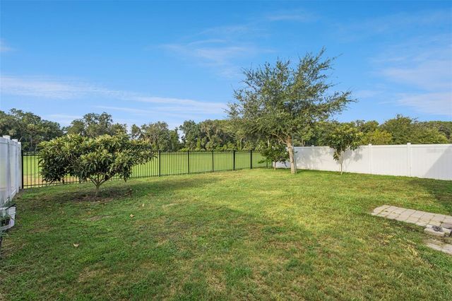 29505 CASPIAN STREET, Leesburg, FL 34748