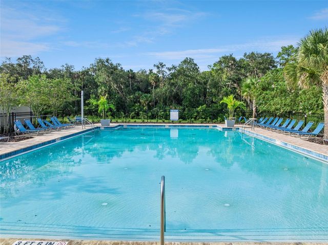 29505 CASPIAN STREET, Leesburg, FL 34748