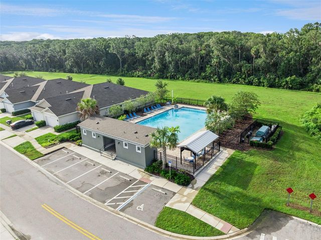 29505 CASPIAN STREET, Leesburg, FL 34748