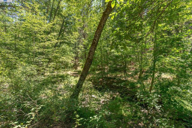 4298 Little Browns Creek Rd, Weaverville, CA 96093