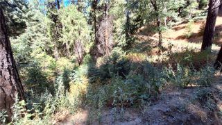 0 El Valle, Cedarpines Park, CA 92322