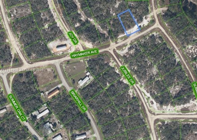 496 HAYMAKER AVE, Lake Placid, FL 33852