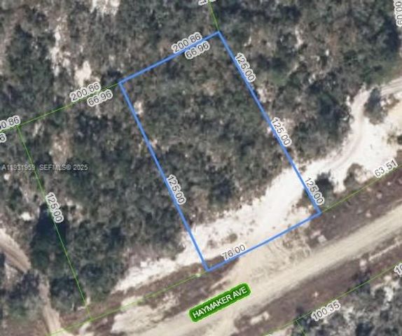 496 HAYMAKER AVE, Lake Placid, FL 33852