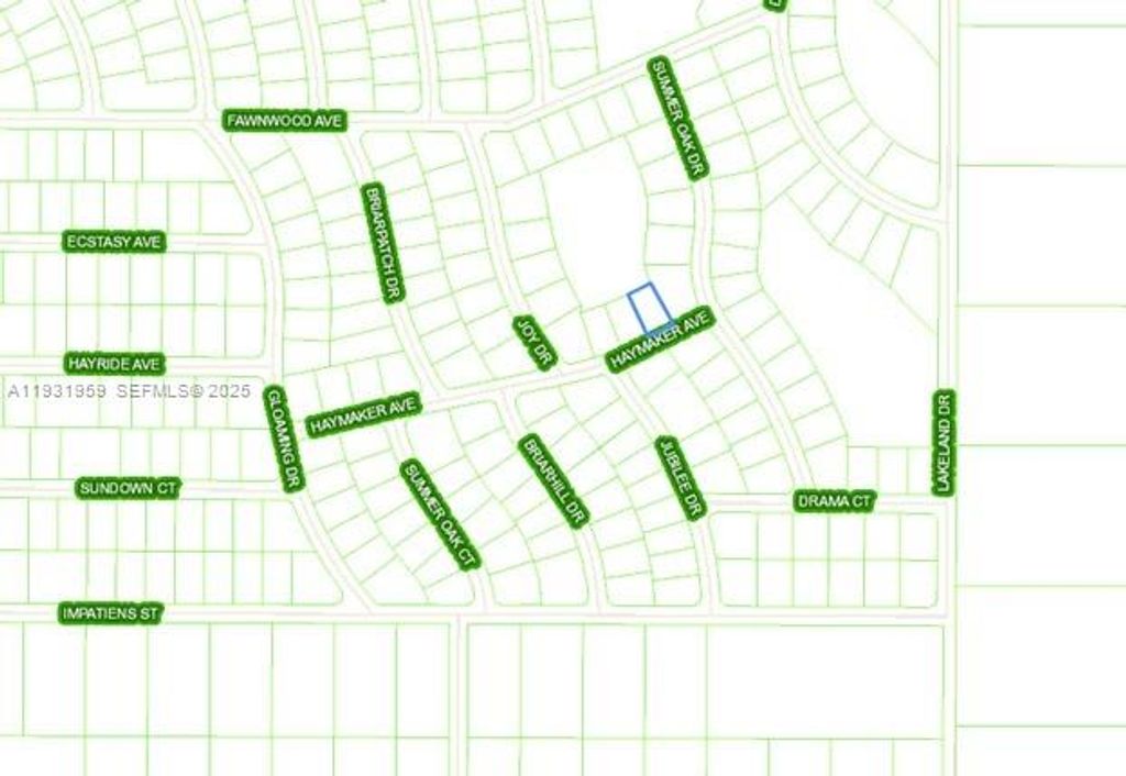 496 HAYMAKER AVE, Lake Placid, FL 33852