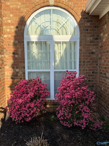 113 Mallard Cove Drive, Madison, AL 35756