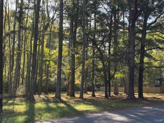 Lot 6 2nd Street NE, Arab, AL 35016