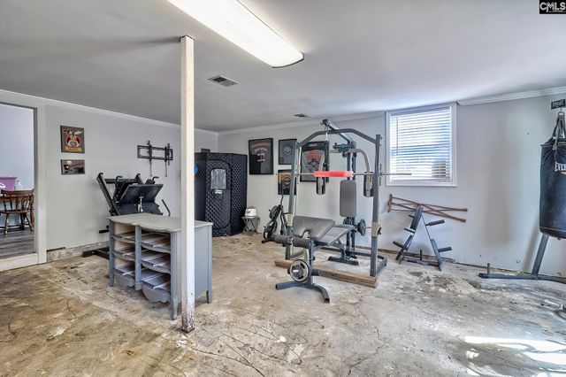 130 Stoneridge Road, Chapin, SC 29036