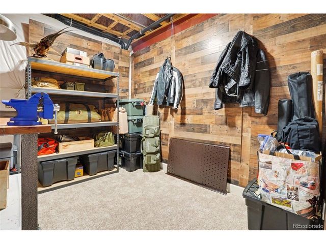 6138 Long Branch Dr, Parker, CO 80134