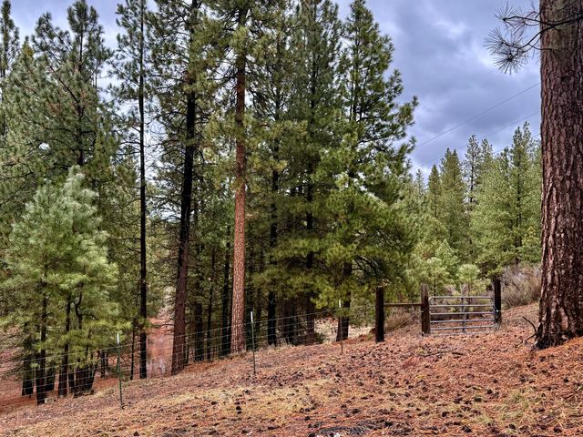 38965 Chiloquin Ridge Road, Chiloquin, OR 97624