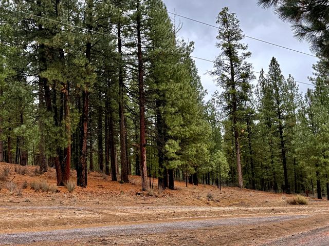 38965 Chiloquin Ridge Road, Chiloquin, OR 97624