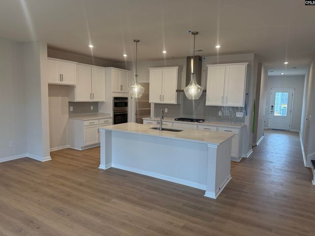 341 Grannys Cut Way, Chapin, SC 29036