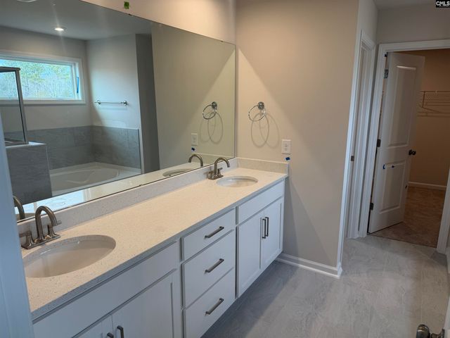 341 Grannys Cut Way, Chapin, SC 29036