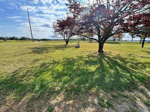 1315 Walker Lane, New Market, AL 35761