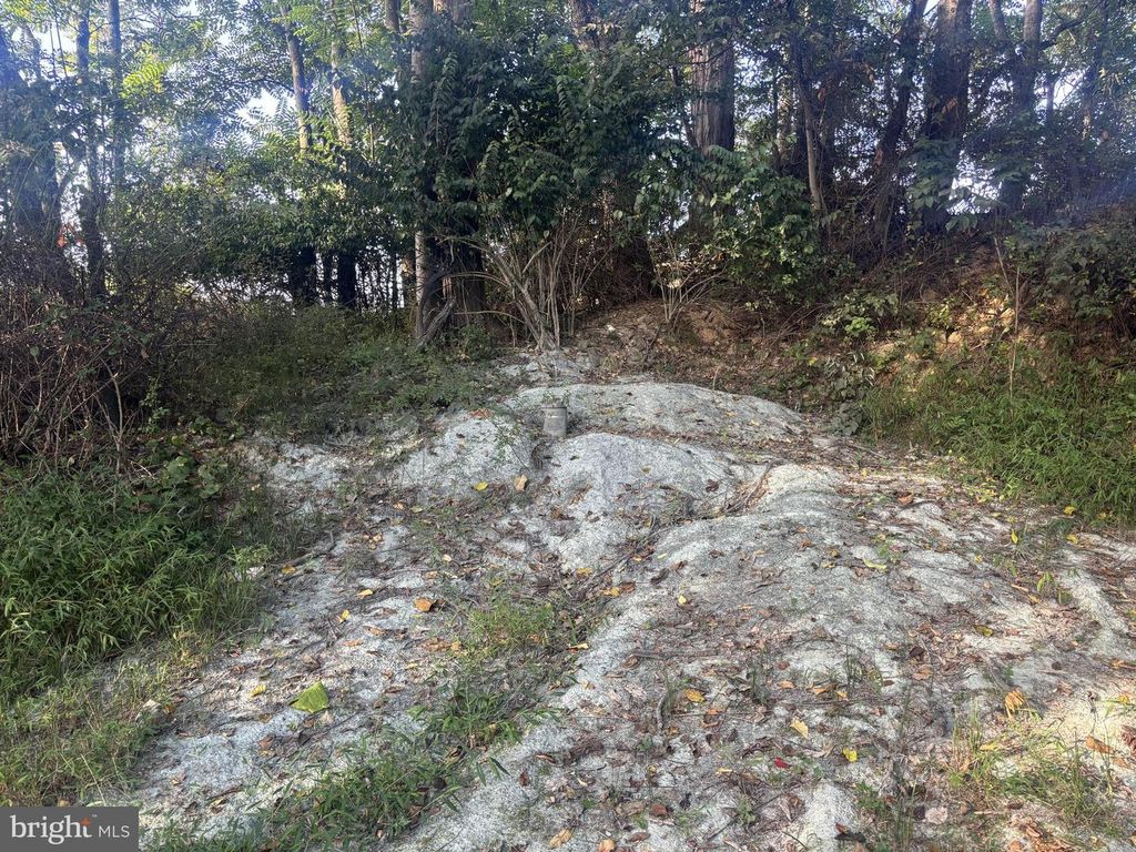 LOT 2 WOLFSVILLE RD, Myersville, MD 21773