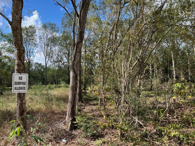 000 S Oak Bend Drive, Alvin, TX 77511