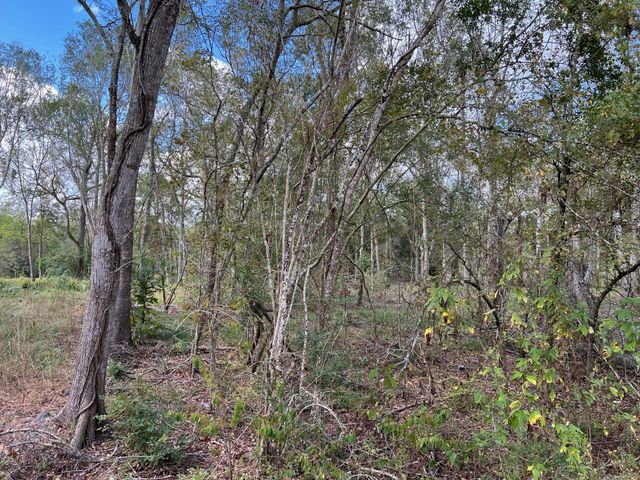 000 S Oak Bend Drive, Alvin, TX 77511