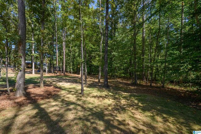 161 HODGENS ROAD, Chelsea, AL 35043