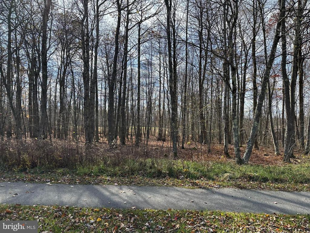 Image 1 of property listing at 60 SUNDANCE WAY, Mc Henry, MD 21541