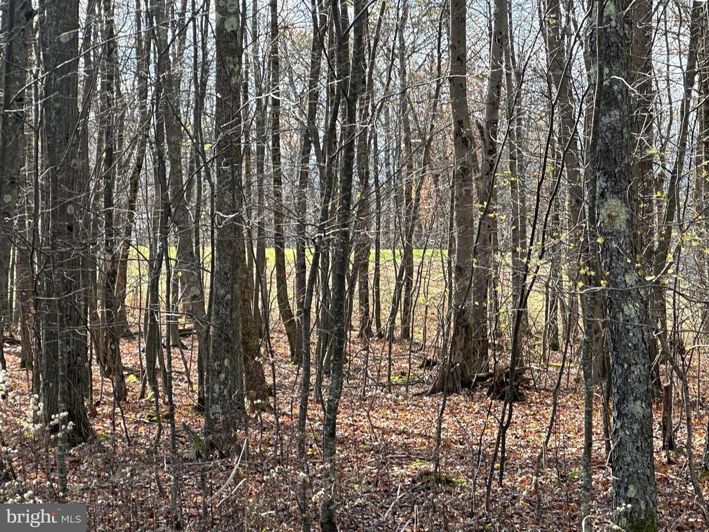 Image 2 of property listing at 60 SUNDANCE WAY, Mc Henry, MD 21541