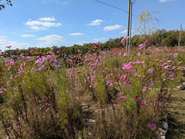 109 Dean Drive, Harrodsburg, KY 40330