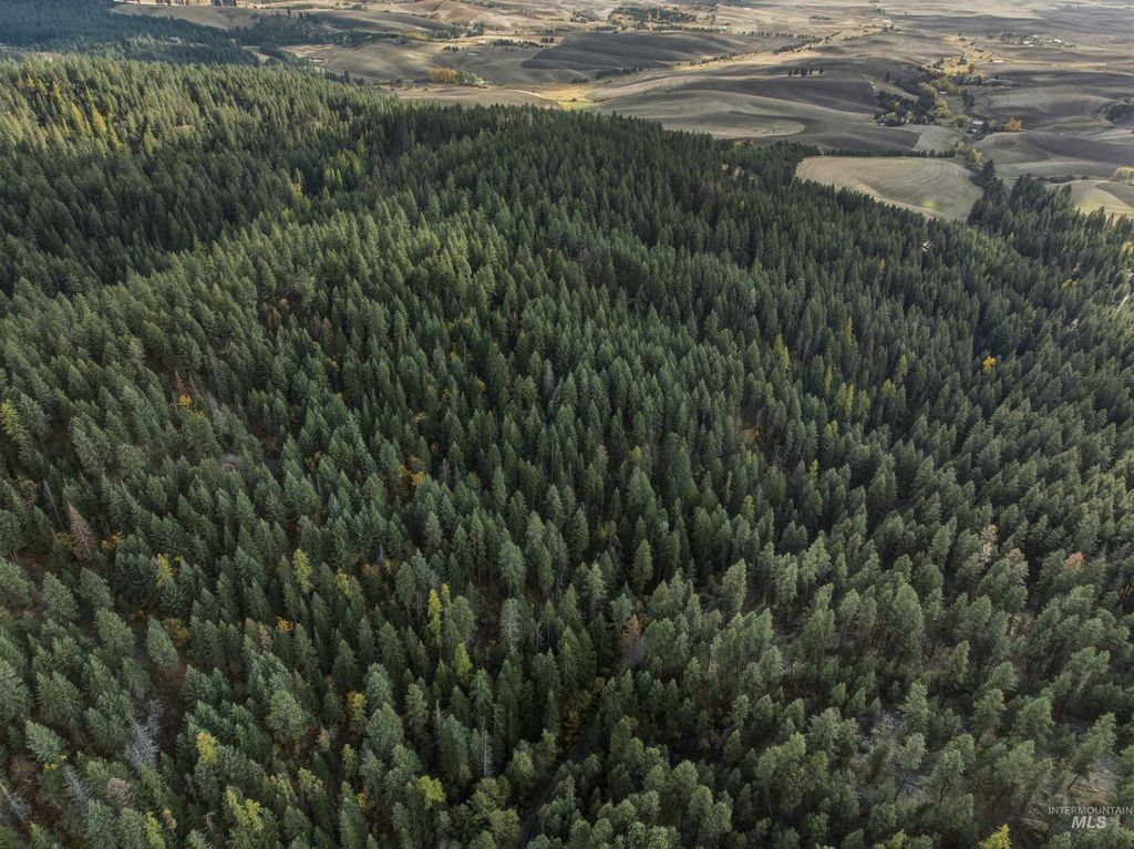 TBD Foothill Rd, Moscow, ID 83843 photo 3