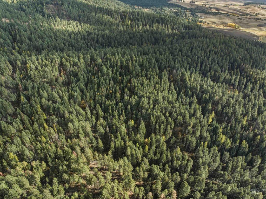 TBD Foothill Rd, Moscow, ID 83843 photo 5