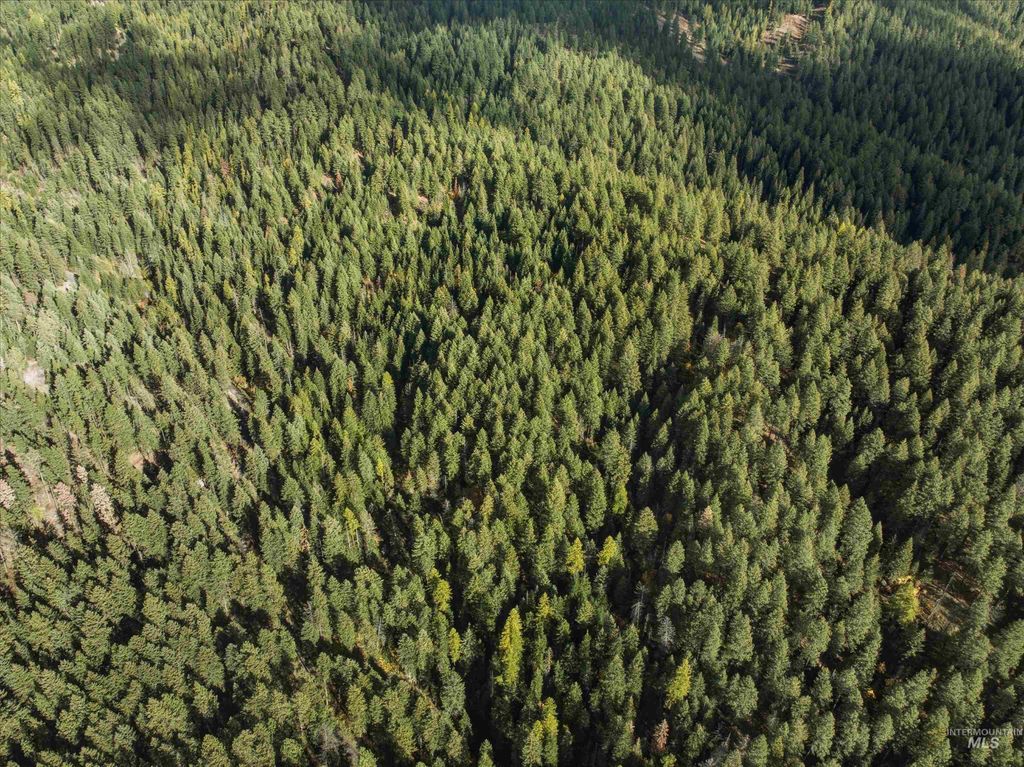 TBD Foothill Rd, Moscow, ID 83843 photo 7