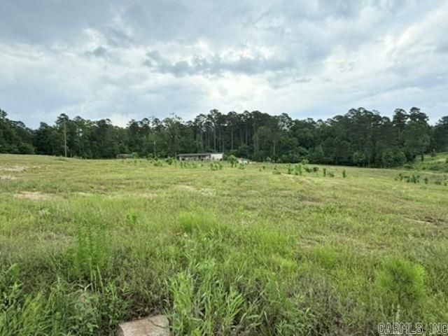 2184 Ozark Loop, Bismarck, AR 71929