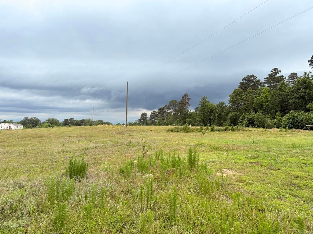 2184 Ozark Loop, Bismarck, AR 71929