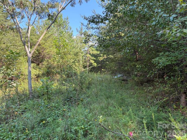 468 Southern Way, Nebo, NC 28761