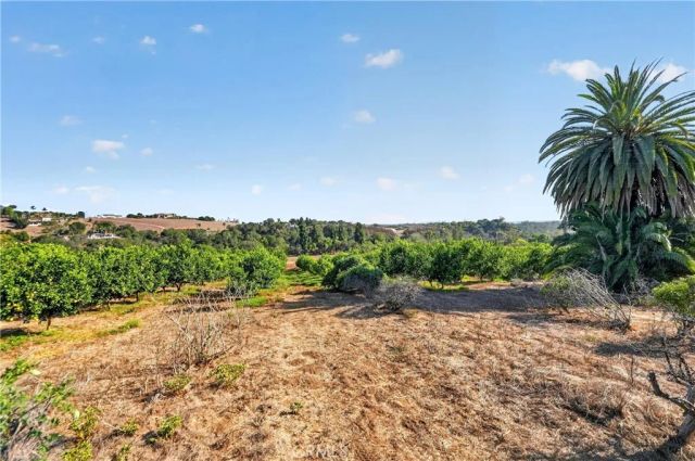 2864 Live Oak Park, Fallbrook, CA 92028